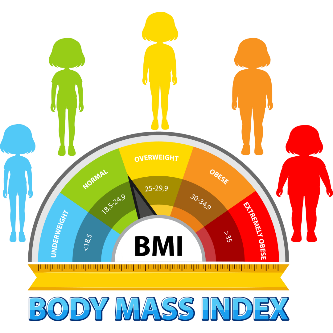 BMI Guide: What Your Body Mass Index Means